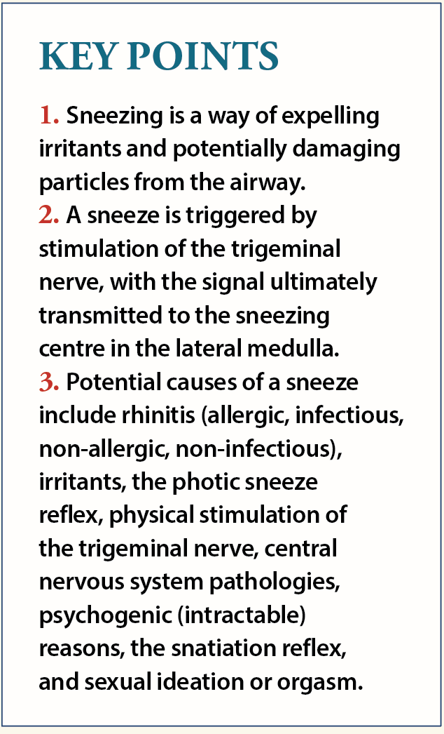 Pondering what could be behind that sneeze Pharmacy Today